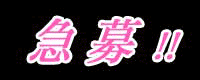 女装コンシェルジュ